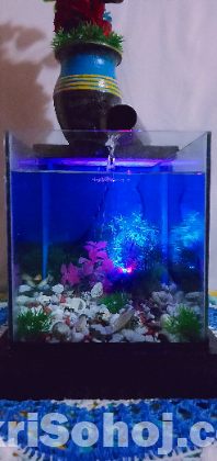 fishtank with waterfall